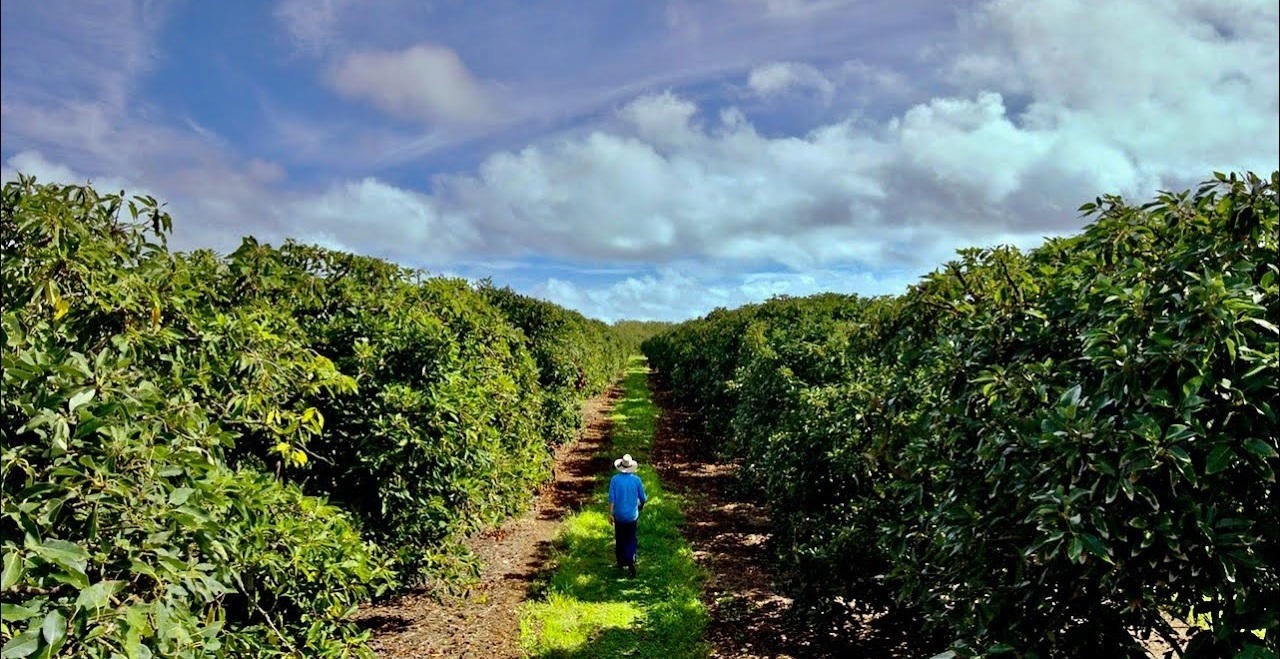 Устойчивост: Corteva Agriscience я постига